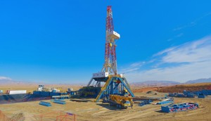 Image Courtesy: Wood