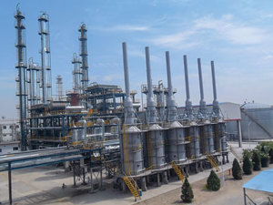 FIG. 1. An operating plant in 2013.